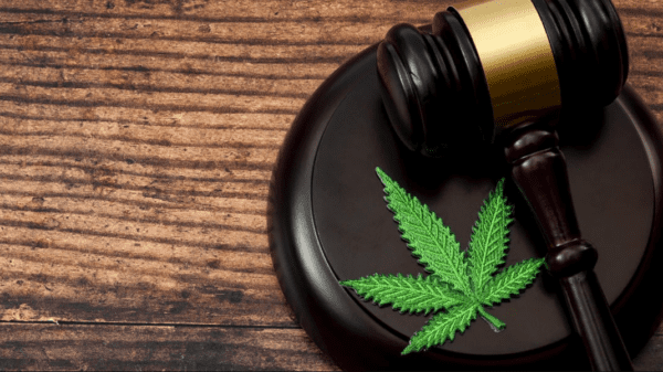 New Pre-Employment Cannabis Testing Law Starts In 2024